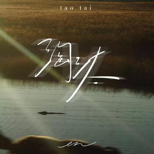 污污的视频免费
